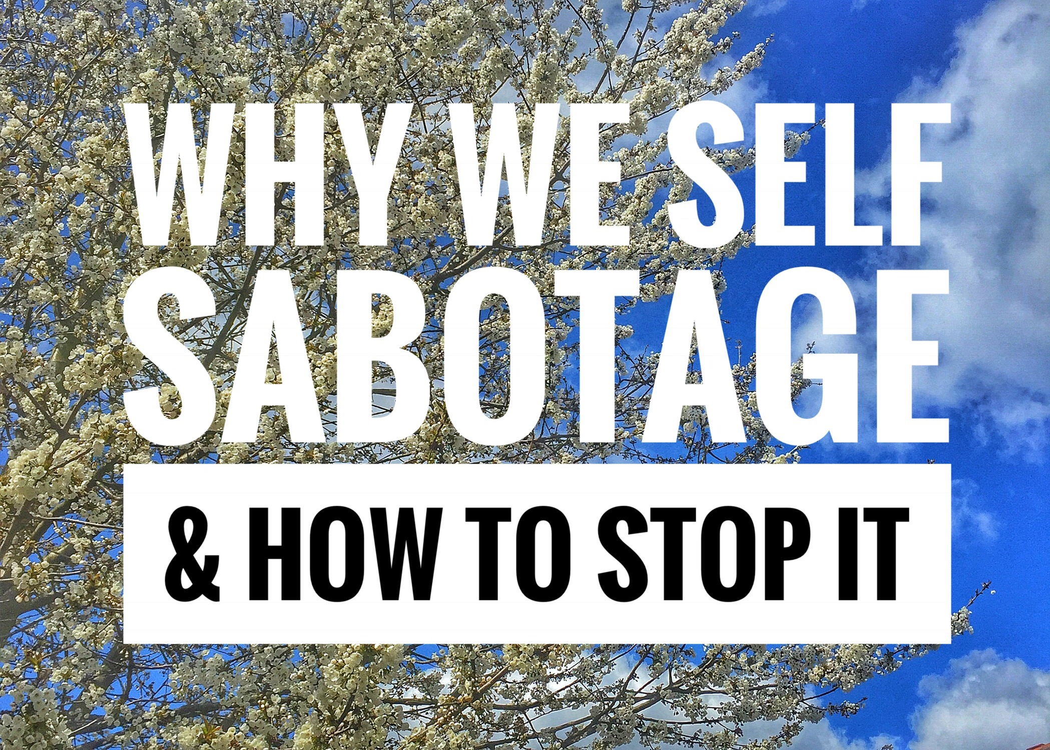 Self Sabotage & How to Stop It